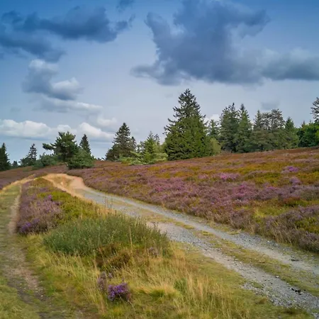 Maisonette-wohnung Mit See-& Bergblick, Sauna Apartment Winterberg