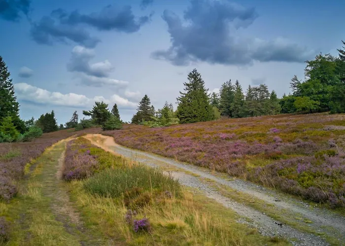 Maisonette-wohnung Mit See-& Bergblick, Sauna Appartamento Winterberg